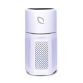Air Sentry 500
